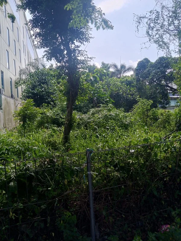 Dijual atau Disewakan Lahan Komersial Laksda Adisucipto Sleman foto 5