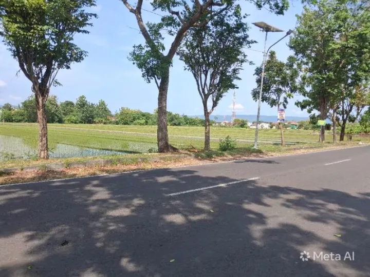 Dijual Lahan Sawah Pinggir Jalan MGR Soegiyopranoto Bantul