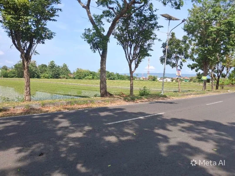 Dijual Lahan Sawah Pinggir Jalan MGR Soegiyopranoto Bantul
