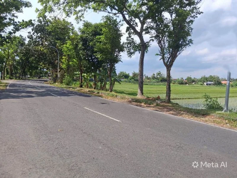 Dijual Lahan Sawah Pinggir Jalan MGR Soegiyopranoto Bantul foto 2