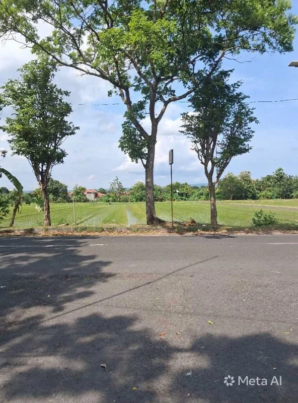 Dijual Lahan Sawah Pinggir Jalan MGR Soegiyopranoto Bantul foto 3