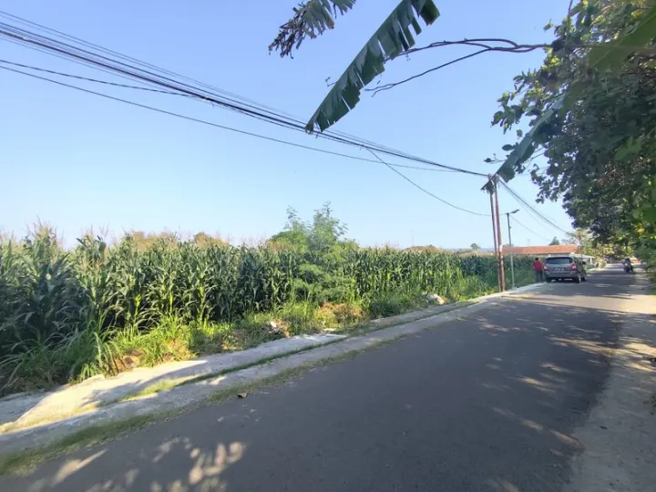 Dijual Tanah 2.749 m² Tepi Jalan Srandakan, Pandak
