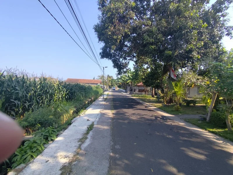 Dijual Tanah 2.749 m² Tepi Jalan Srandakan, Pandak foto 3