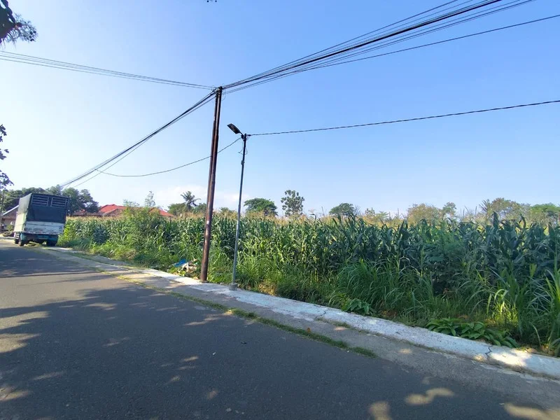 Dijual Tanah 2.749 m² Tepi Jalan Srandakan, Pandak foto 2