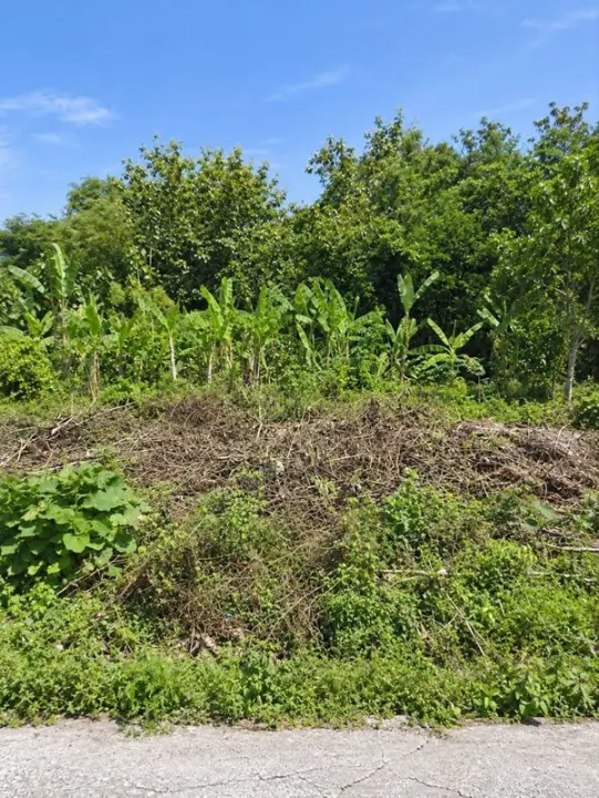 Dijual Tanah 240 m² di Karangjati, Kasihan, Bantul