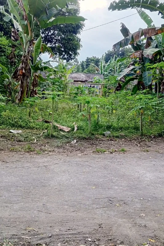 Dijual Tanah 242 m² di Purwomartani, Kalasan foto 4