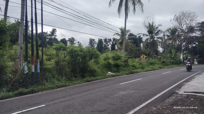 Dijual Tanah 3.846 m² di Bimomartani, Ngemplak foto 3