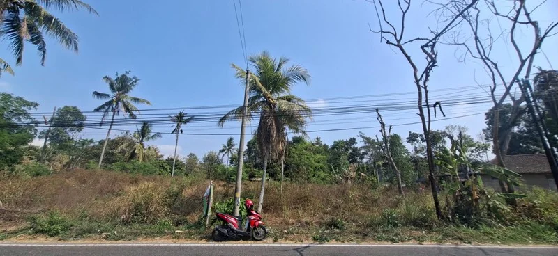 Dijual Tanah 3.846 m² di Bimomartani, Ngemplak foto 2
