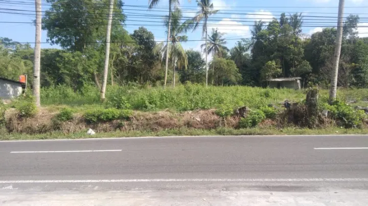 Dijual Tanah 3.846 m² di Bimomartani, Ngemplak