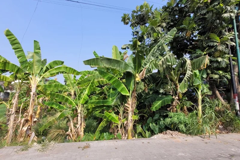 Dijual Tanah 640 m² di Warungboto, Umbulharjo