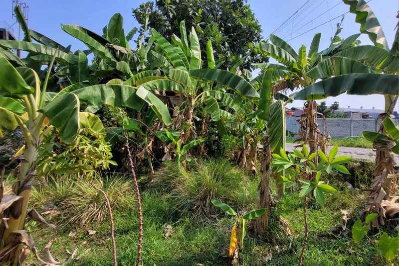 Dijual Tanah 640 m² di Warungboto, Umbulharjo foto 2