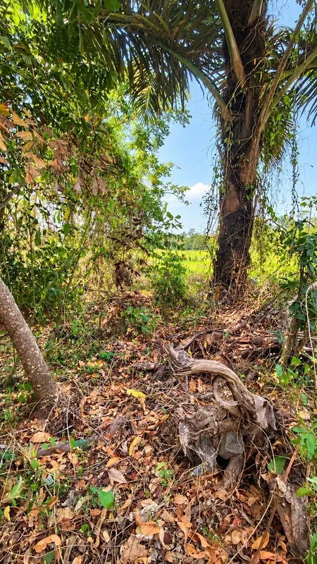 Dijual Tanah Dekat Kampus UII di Umbulmartani, Sleman foto 3