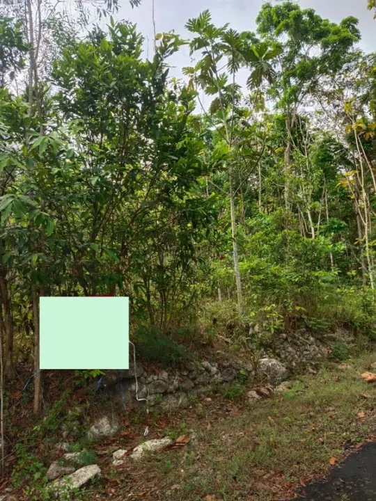 Dijual Tanah Investasi Nglipar Gunungkidul Harga 250 Juta