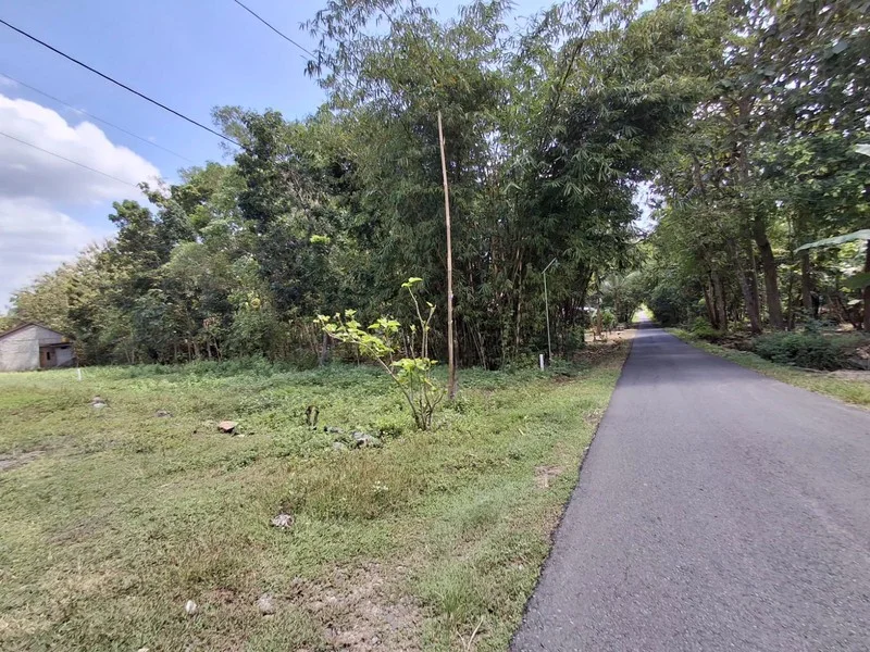 Dijual Tanah Pekarangan Sentolo Kulon Progo foto 3