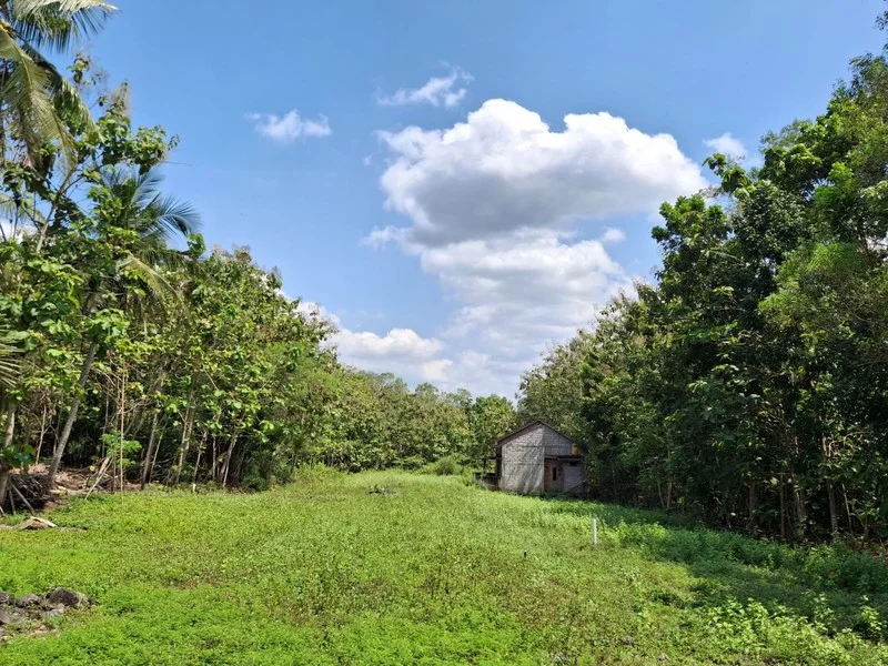Dijual Tanah Pekarangan Sentolo Kulon Progo foto 2