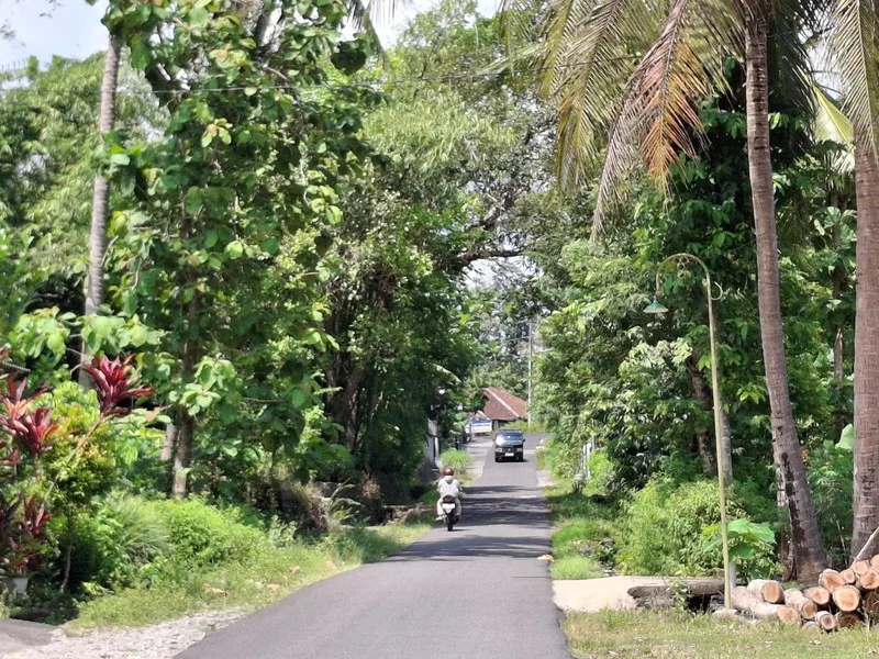 Dijual Tanah Pekarangan Sentolo Kulon Progo foto 4
