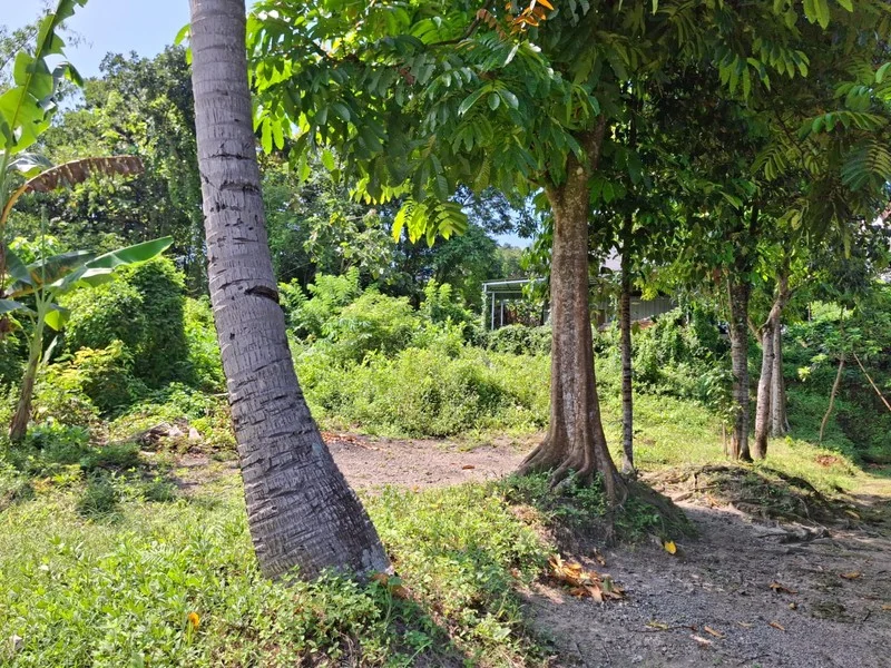 Dijual Tanah Pekarangan Surobayan Kulon Progo Dekat Jogja Wates