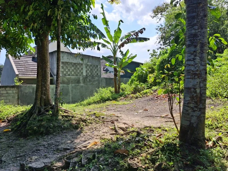 Dijual Tanah Pekarangan Surobayan Kulon Progo Dekat Jogja Wates foto 2