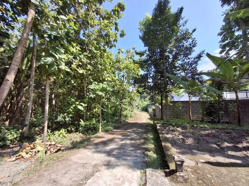 Dijual Tanah Pekarangan Surobayan Kulon Progo Dekat Jogja Wates foto 3