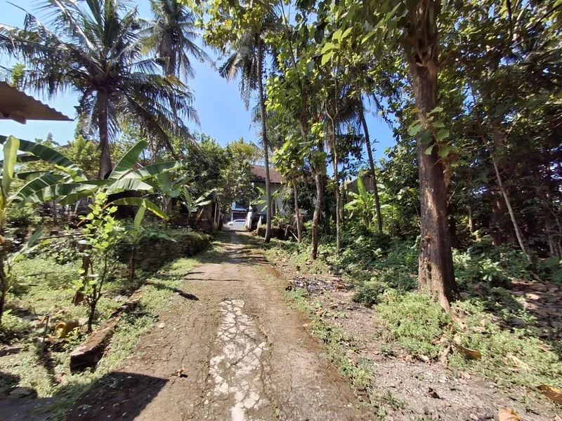 Dijual Tanah Pekarangan Surobayan Kulon Progo Dekat Jogja Wates foto 4
