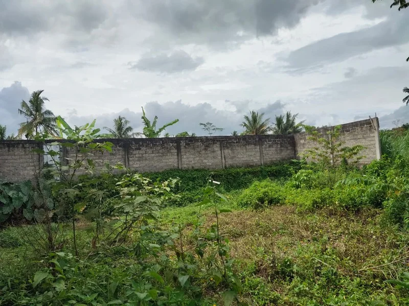Dijual Tanah Pekarangan Tempel Sleman Dekat Ibarbo Park foto 3