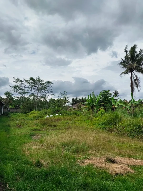 Dijual Tanah Pekarangan Tempel Sleman Dekat Ibarbo Park foto 2