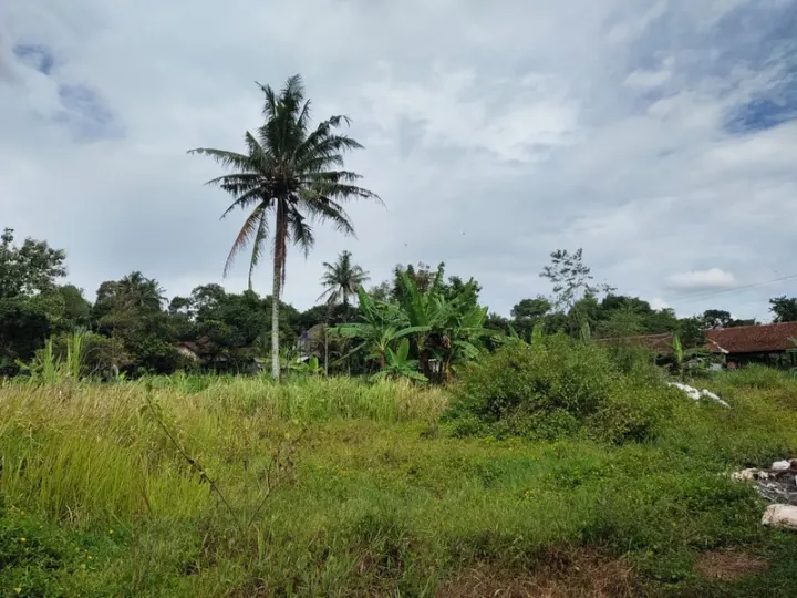 Dijual Tanah Pekarangan Tempel Sleman Dekat Ibarbo Park