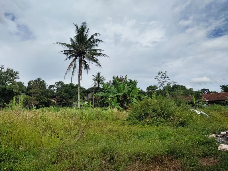 Dijual Tanah Pekarangan Tempel Sleman Dekat Ibarbo Park