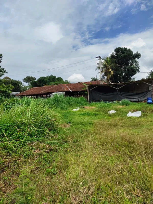 Dijual Tanah Pekarangan Tempel Sleman Dekat Ibarbo Park foto 4