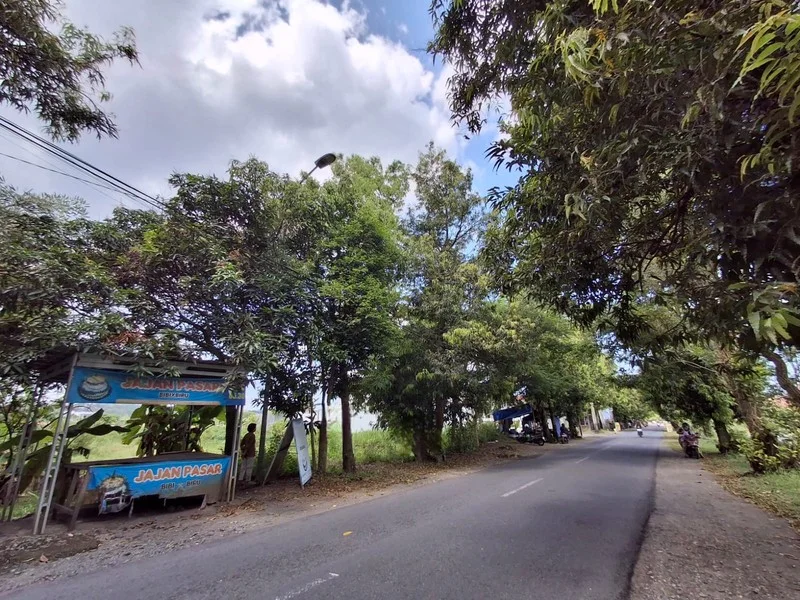 Dijual Tanah Pengasih Kulon Progo Dekat Pusat Wates foto 3