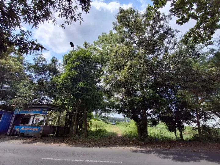 Dijual Tanah Pengasih Kulon Progo Dekat Pusat Wates