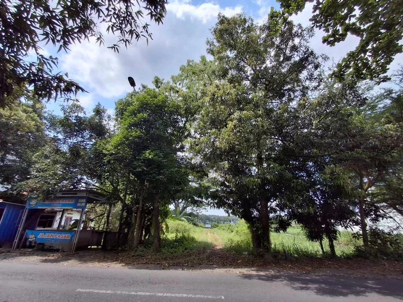 Dijual Tanah Pengasih Kulon Progo Dekat Pusat Wates