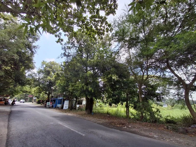 Dijual Tanah Pengasih Kulon Progo Dekat Pusat Wates foto 2