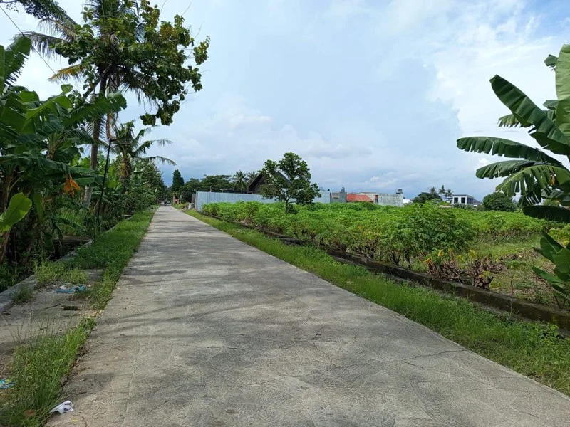 Dijual Tanah Pinggir Jalan Wedomartani Ngemplak Sleman