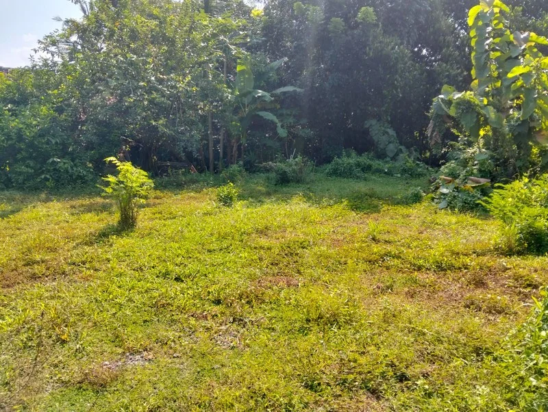 Dijual Tanah Prospektif Moyudan Sleman Dekat Bukit Menoreh foto 2