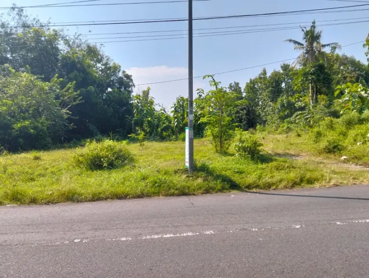 Dijual Tanah Prospektif Moyudan Sleman Dekat Bukit Menoreh