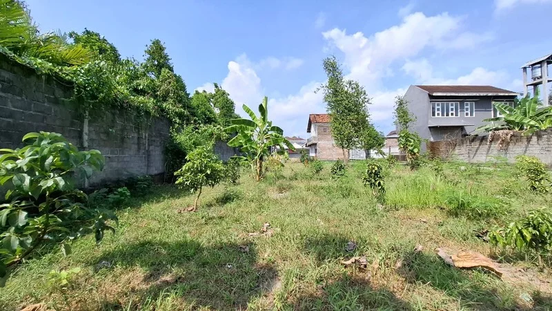 Dijual Tanah Sawah 736 m² di Trirenggo, Bantul foto 2