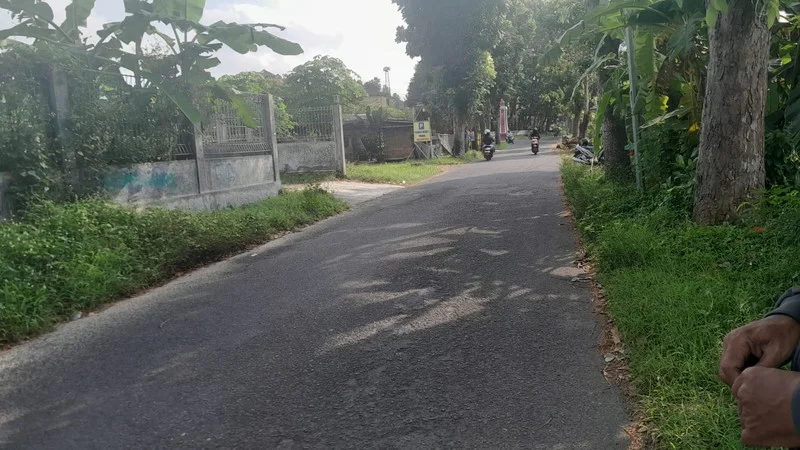 Dijual Tanah Sawah Prospektif Plaosan Tlogoadi Mlati Sleman foto 5