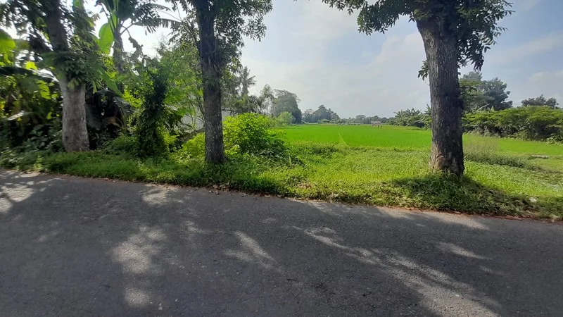 Dijual Tanah Sawah Prospektif Plaosan Tlogoadi Mlati Sleman foto 4