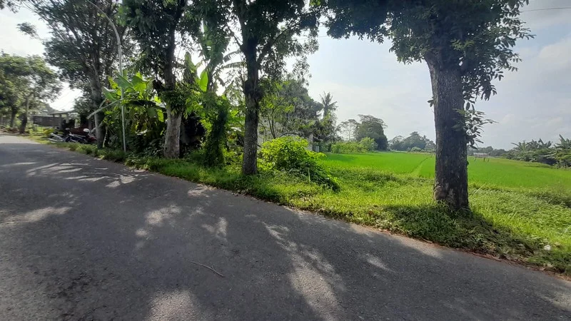 Dijual Tanah Sawah Prospektif Plaosan Tlogoadi Mlati Sleman foto 2