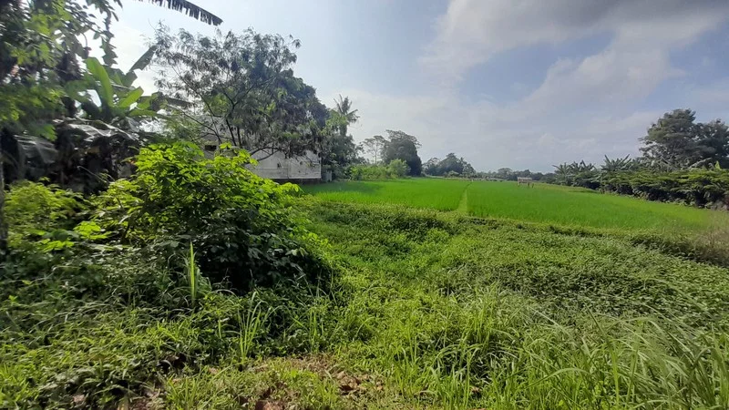 Dijual Tanah Sawah Prospektif Plaosan Tlogoadi Mlati Sleman