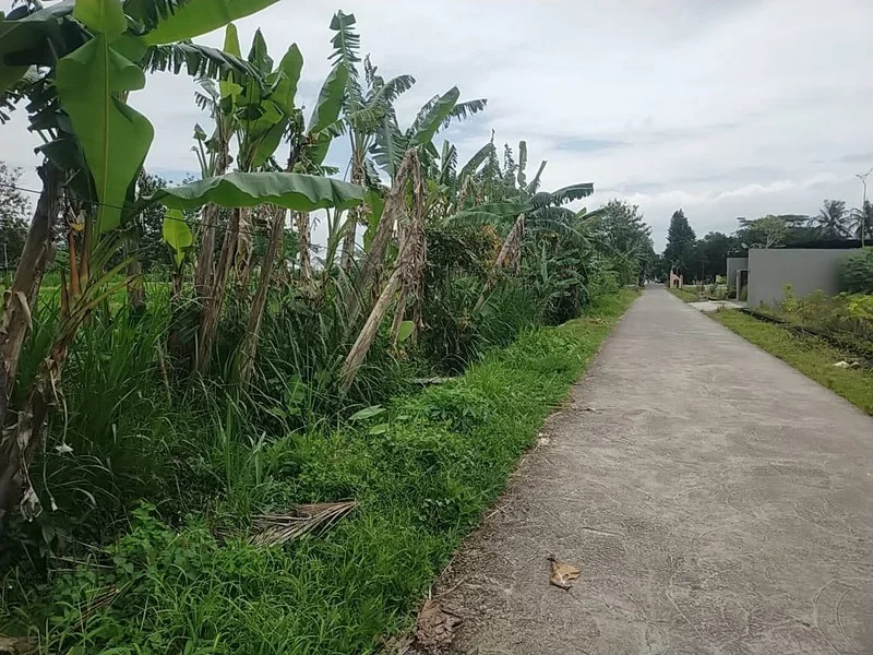 Dijual Tanah Wedomartani Ngemplak Sleman Dekat Kampus foto 2