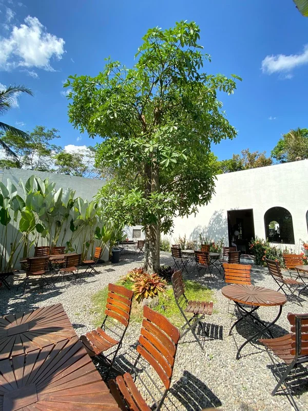 Dijual Usaha Villa Cafe Resto Borobudur Magelang foto 4