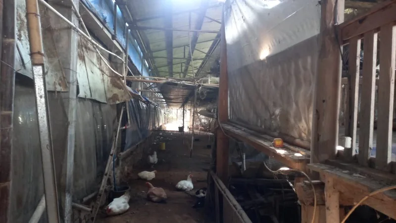 Gudang Strategis Kawasan Kasongan Bangunjiwo Bantul foto 4