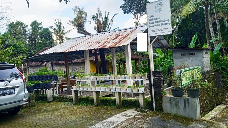 Rumah Asri Nuansa Villa Pakem Sleman foto 2