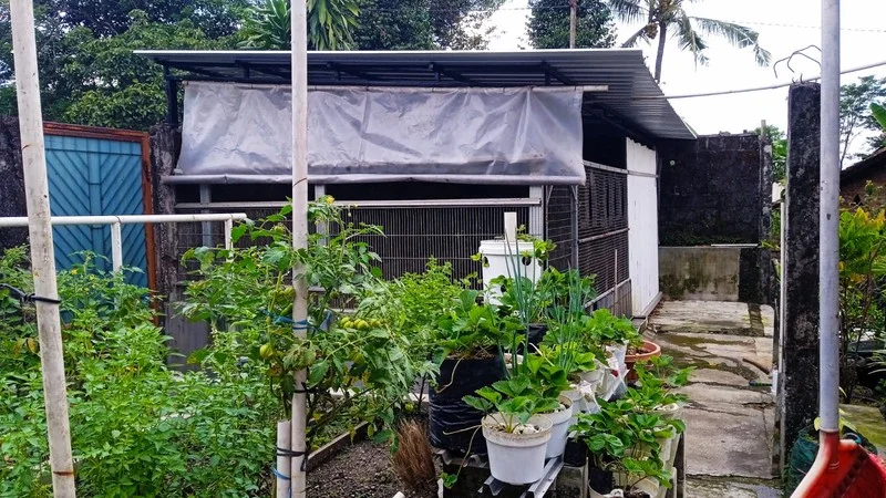 Rumah Asri Nuansa Villa Pakem Sleman foto 4