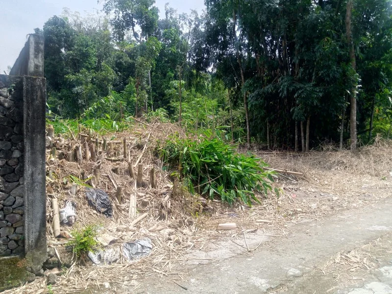 Tanah 463 m2 Ngaglik Dekat Jalan Kaliurang Sleman foto 2