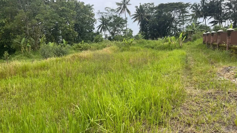 Tanah Eksklusif Dekat UII Candibinangun Pakem foto 2