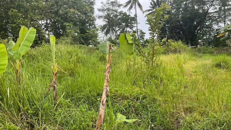 Tanah Eksklusif Dekat UII Candibinangun Pakem foto 3