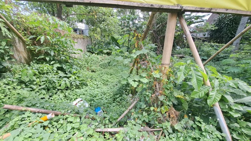 Tanah Premium 888 m2 Timoho Jalan Ipda Tut Harsono Yogyakarta foto 5